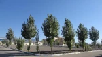 دانشکده