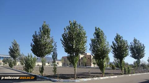 دانشکده