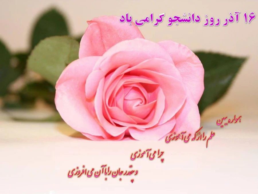 روزدانشجو