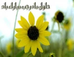 حلول ماه پرخیروبرکت  رجب برهمگان مبارک