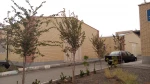 ساختمان اداری