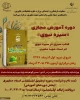 دوره آموزش مجازی  «سیره نبوی » 2