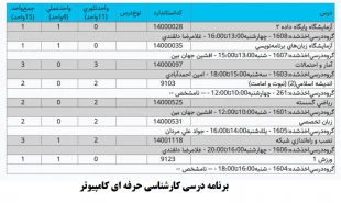 کارشناسی حرفه ای کامپیوتر