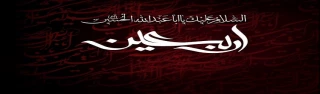 اربعین حسینی، نمود روشنی از جاودانگی مسیر حق و حقیقت است که با گذشت چهل روز از واقعه جانگداز کربلا، جان های مومنان را بار دیگر به شور و شعور حسینی پیوند می زند.